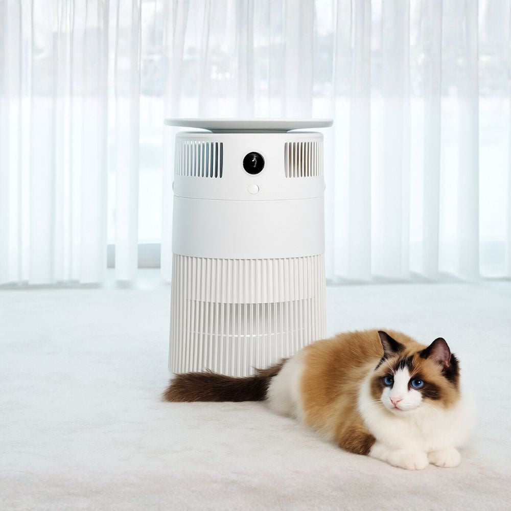 Airdog P50 New Product